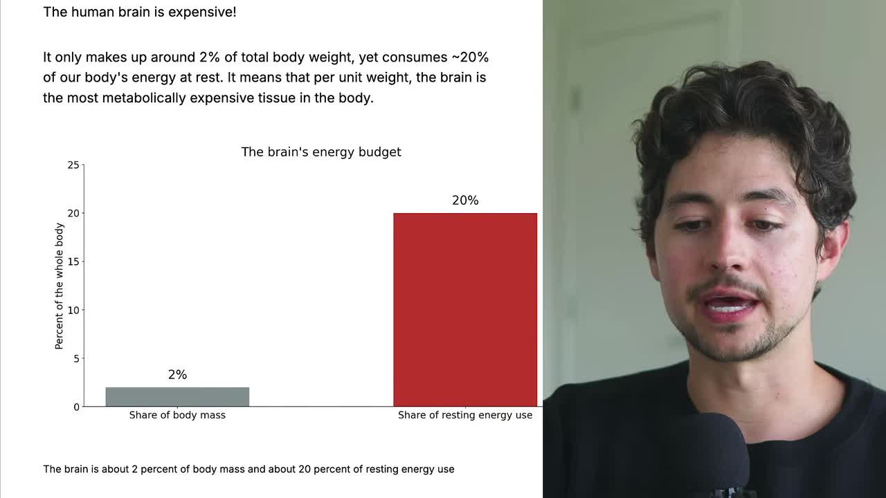 The brain's energy budget: ~2% of body mass vs ~20% of resting energy use